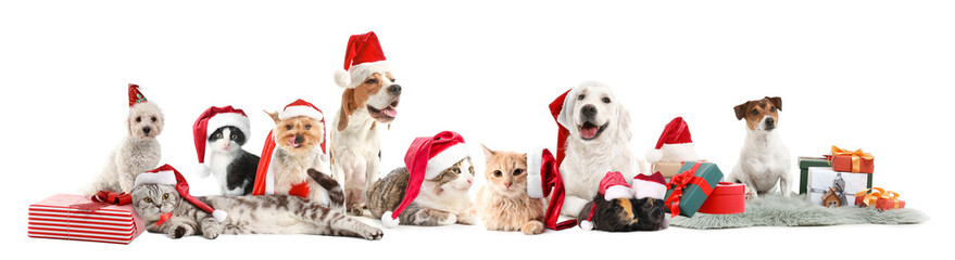 Set of cute animals in Santa hats and with Christmas gifts isolated on white