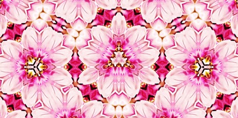 a decorative floral digital kaleidoscope pattern