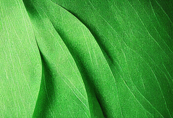 Obraz premium Green natural paper texture background, 3d illustration.