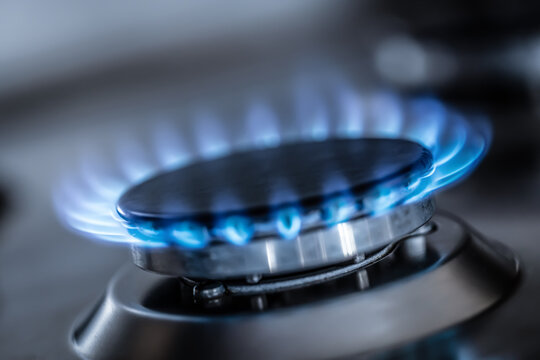 The Gas Burner Burns With The Blue Flame Of A Propane Butane Stove In A Home Kitchen Or Hotel Restaurant