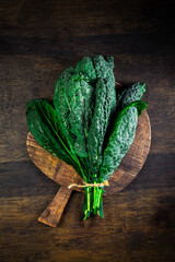 Palm kale, black cabbage - Cavolo nero black curly kale. Nero di Toscana (Brassica oleracea)
