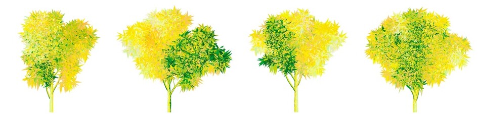 Set of isolated autumn trees with a lush yellow-green crown. Insulated on a transparent background. png format.