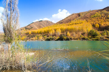 Fototapeta na wymiar Mountain lake with yellow trees. Autumn landscape. Kyrgyzstan, Ak-Tuz gorge. Natural background.