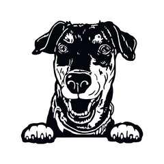German Pinscher - Funny Dog, Vector File, Cut Stencil for Tshirt
