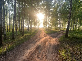 Obraz premium Landscape shot with the gold sun rays