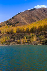 Mountain lake with yellow trees. Autumn landscape. Kyrgyzstan, Ak-Tuz gorge. Natural background.