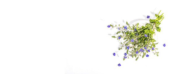 Blue forget me not flowers bouquet on trendy stand isolated on white background. Springtime concept