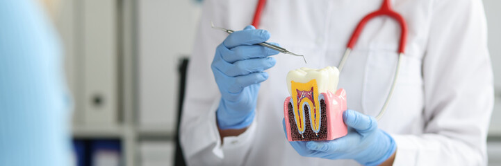 Dentist shows caries on artificial tooth and methods of treatment to patient