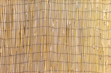 Bamboo dry yellow vertical straw background, texture. Nature plant material. Empty, copy space