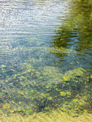 Sea water on underwater pebbles plants background. Greek island Cyclades Greece. Top view, vertical