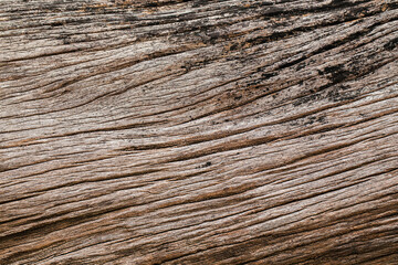 Fototapeta premium brown wooden texture wall pattern background texture.