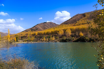 Naklejka premium Mountain lake with yellow trees. Autumn landscape. Kyrgyzstan, Ak-Tuz gorge. Natural background.