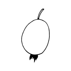 Obraz premium rosehip berries hand drawn in doodle style. icon, sticker, decor element.