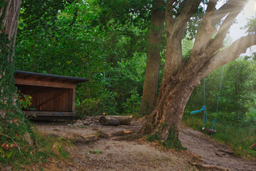 Shelter in a forest near the german border, Denmark