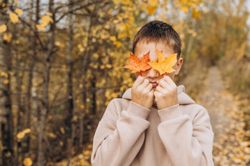 Teenager boy hiding his eyes behind maple leaves. Child holding yellow autumn leaves in his hands. Teen having fun on walking in autumn park. Selective focus