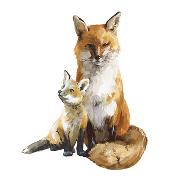 recommend clip art: Beautiful vector stock illustration with hand drawn watercolor forest wild fox animal with baby. Clip art image.