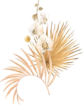 watercolor orchids and dried palm leaves clip art preview