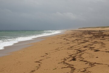 beach in the morning