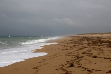 beach in the morning