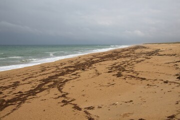 beach in the morning