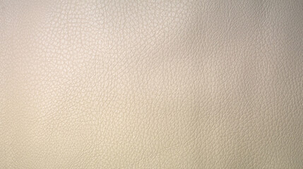 Photo of the texture of white leather for tailoring. Light leather background for text.