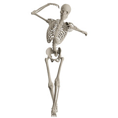 skeleton posing 3d render illustration