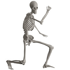 skeleton posing 3d render illustration