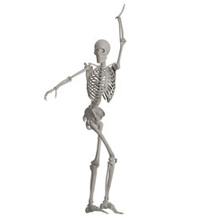 skeleton posing 3d render illustration