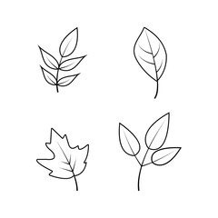 Tropical leaves in doodle style. Vector hand drawn black line design elements for design element template collection