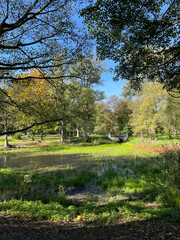 Börnicke, Bernau, Barnim, Brandenburg, Herbst 