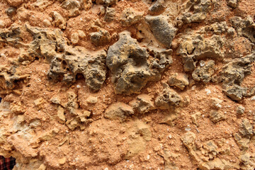 Background of the stone wall