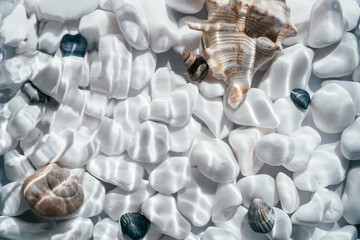 Creative background image of white black rounded smooth pebble stone and shells under transparent water with waves
