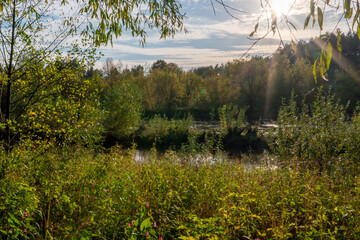 Autumn forest along the river and lake. The setting sun illuminates the treetops. Steep steep sandy bank above a wide river. Autumn walks in ecologically clean places.