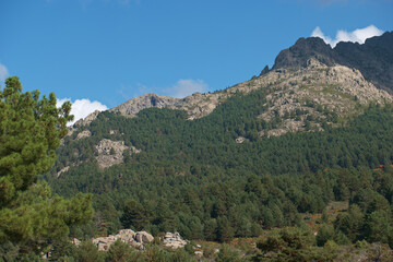 Fototapeta na wymiar góry drzewa skały krajobraz widok