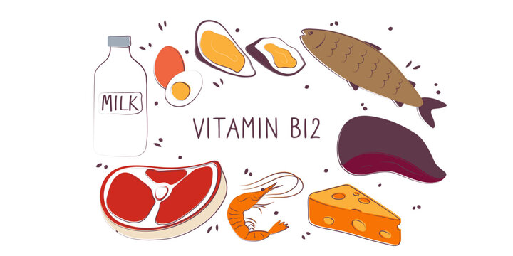 Vitamin B12 cyanocobalamin, cobalamin. Groups of healthy products containing vitamins. Set of fruits, vegetables, meats, fish and dairy