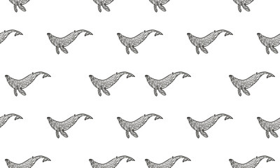 whale pattern