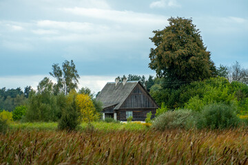 Fototapeta premium Cozy wooden house in the forest, on the shore of a lake overgrown with reeds. An uninhabited abandoned village house in a cozy and quiet place far from the bustling city. Landscape autumn forest.
