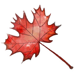 Watercolor Autumn Leaf