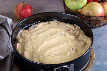 Step-by-step preparation of a layered apple pie, step 5 - raw pie before baking in a baking dish, horizontal