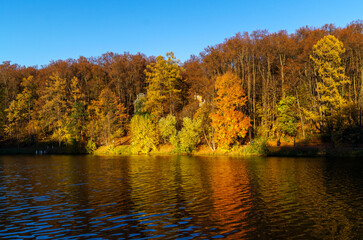 autumn in the park