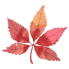 Watercolor Autumn Leaf