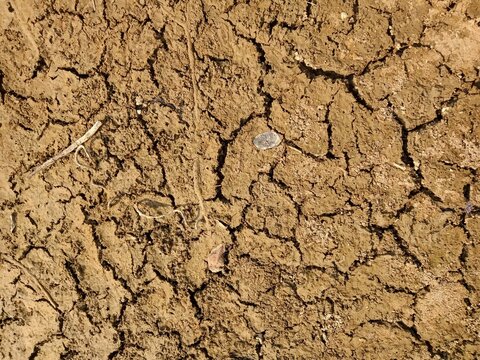 Top View Of Dried Cracked Ground At Chittagong Hill Tracts, Bangladesh