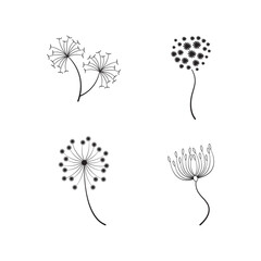 Floral Elements dandelion collection. for Illustration of vector elements