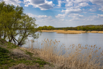 Sunlight through the clouds illuminates the young greenery of bushes and trees. Rural spring landscape with a river, clouds over the horizon.
