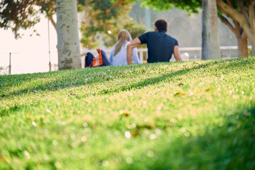 Couple sitting on the grass in a park talking