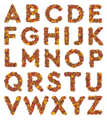 Autumn Leaves and Pumpkin Alphabet Set