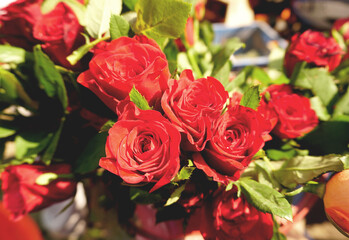 Beautiful and colorful flowers as background.
