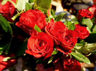 Beautiful and colorful flowers as background.