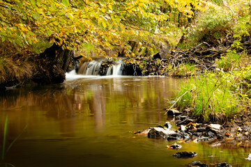Obraz na płótnie Canvas Brook in autumn forest with colorful trees. October in european forest.