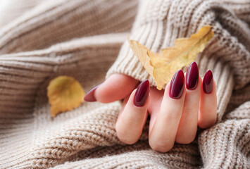 Hands of a young woman with dark red manicure on nails - obrazy, fototapety, plakaty